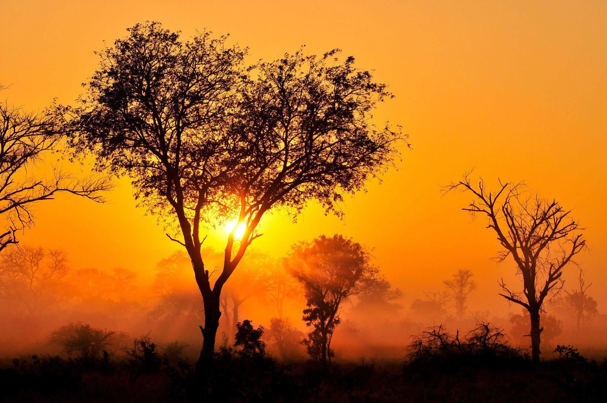 Inyati Game Lodge Metsi Екстер'єр фото