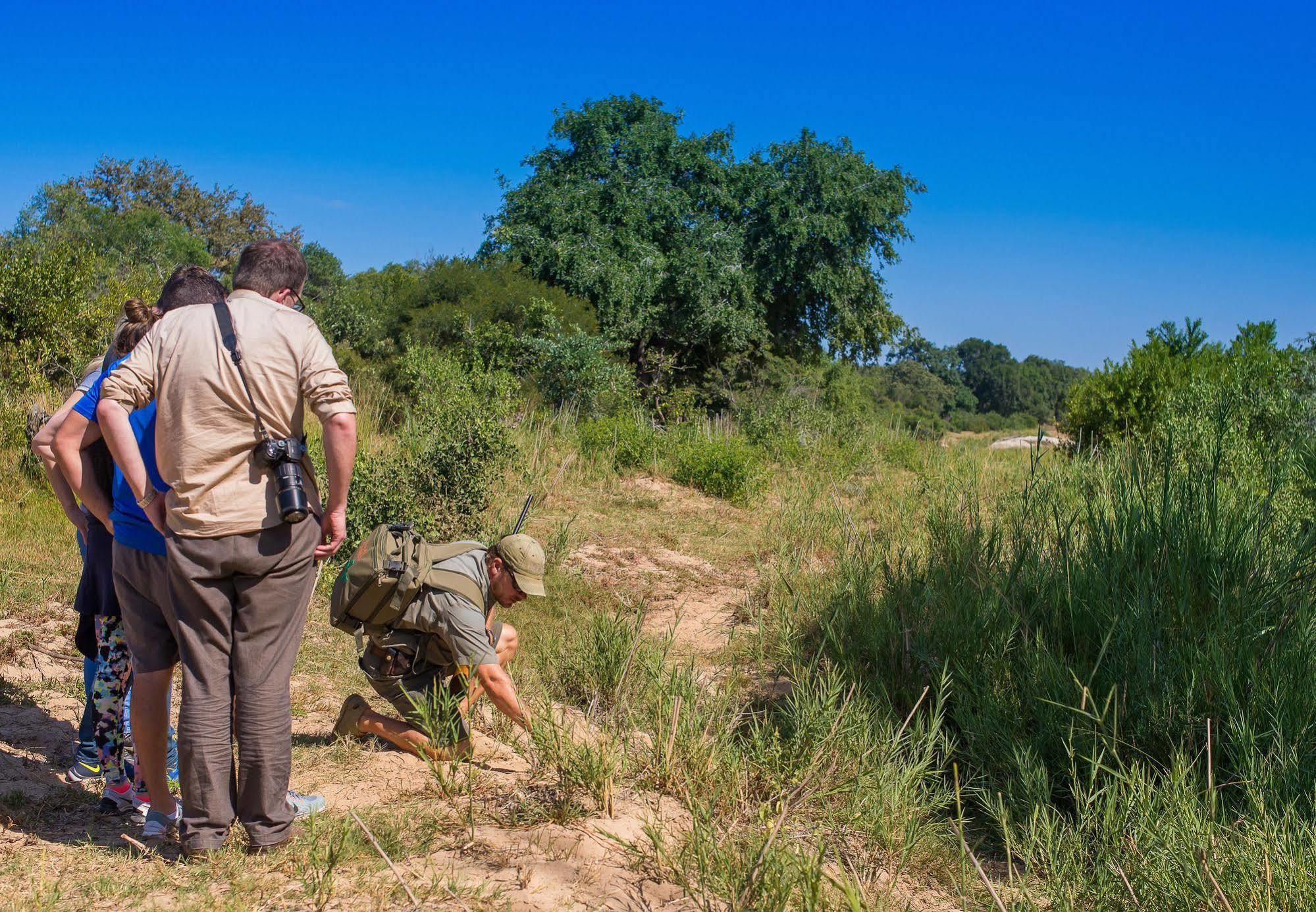 Inyati Game Lodge Metsi Екстер'єр фото