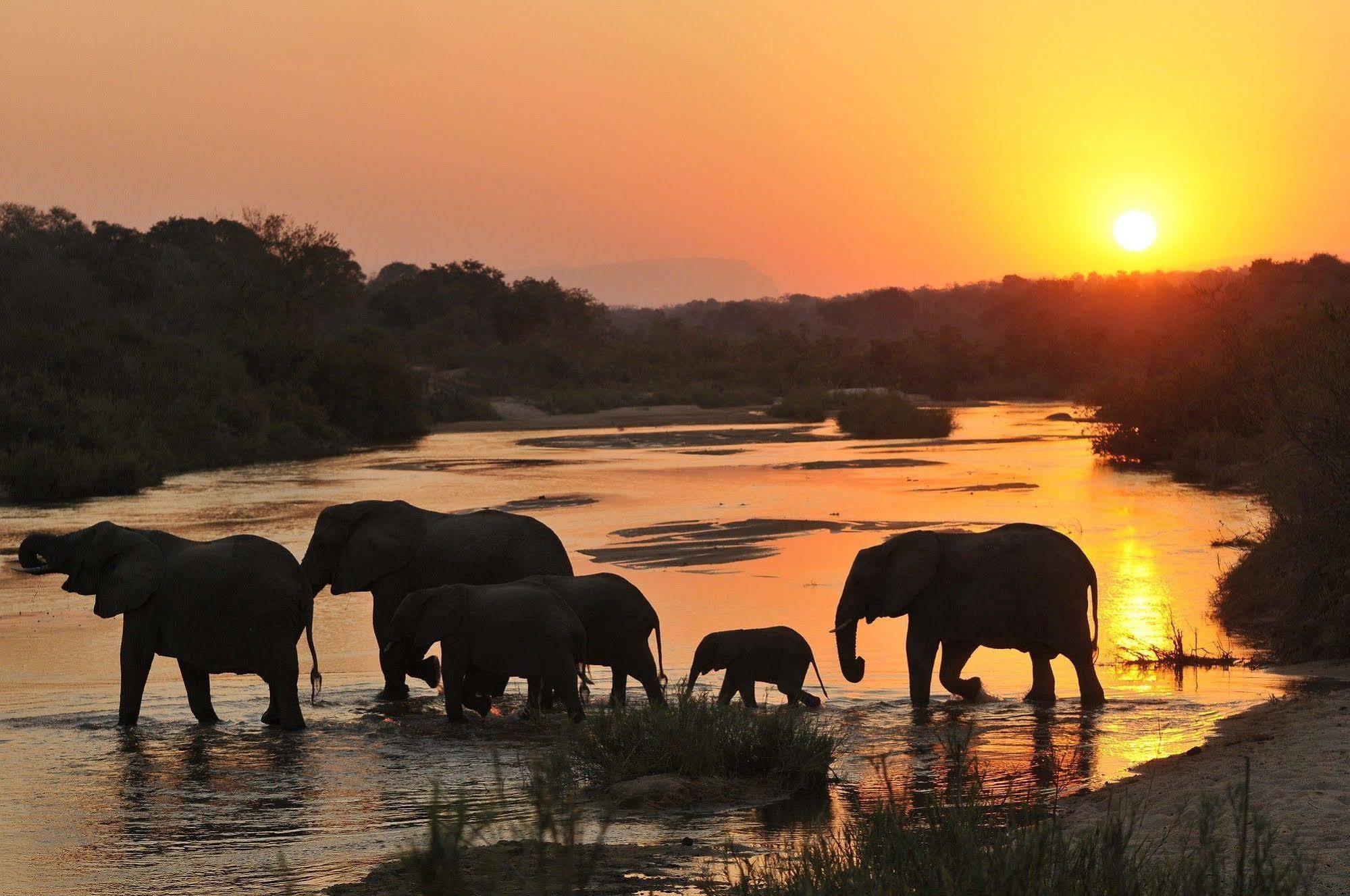 Inyati Game Lodge Metsi Екстер'єр фото